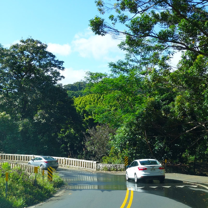 Insured drivers on the Hana Highway
